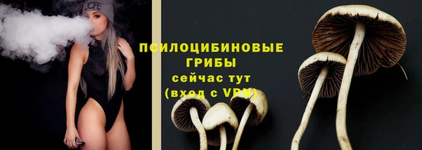 синтетический гашиш Зеленодольск