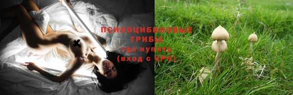 кокс Зерноград